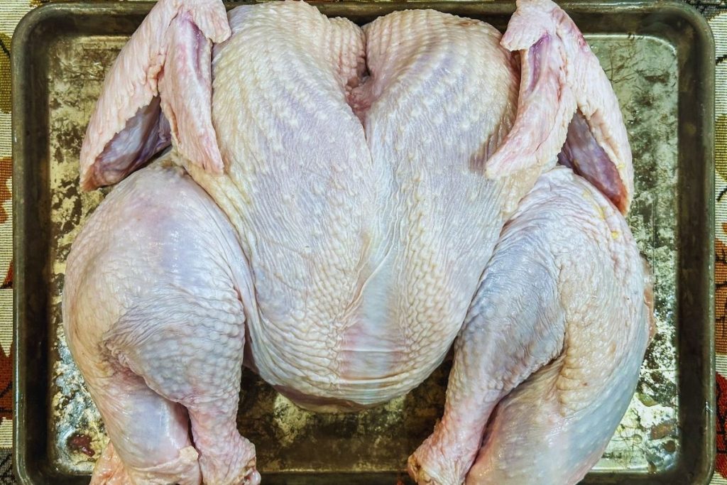 Spatchcocked whole turkey ready for dry brine.