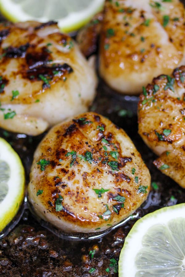 Scallops in lemon butter sauce